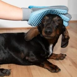 Guante De Doble Cara Para Pelaje De Mascotas -Suministros Para Mascotas 98728 fellpflege handschuh fg 9972 3