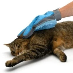 Guante De Doble Cara Para Pelaje De Mascotas -Suministros Para Mascotas 98728 katze fg 5671 5