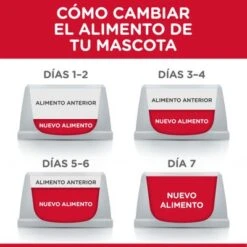 Hill's Science Plan Hill's Adult 1+ Healthy Mobility Large Science Plan Con Pollo -Suministros Para Mascotas atf6 604370 feeding transition 8