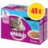 Megapack Whiskas 1+ Años 48 X 85 G En Bolsitas 2 Megapack Whiskas 1+ Años 48 X 85 G En Bolsitas -Suministros Para Mascotas bitiba whiskas adult 48x100g 1000x1000px 1
