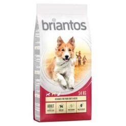 Briantos Pienso Para Perros - Pack Ahorro -Suministros Para Mascotas briantos adult chickenrice 14kg 1000x1000 9