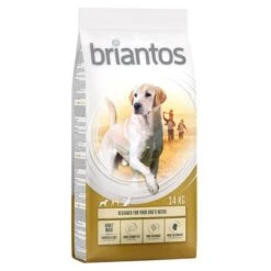 Briantos Pienso Para Perros - Pack Ahorro -Suministros Para Mascotas briantos adult maxi chickenrice 14kg 1000x1000 2