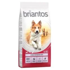 Briantos Pienso Para Perros - Pack Ahorro -Suministros Para Mascotas briantos adult salmonrice 14kg 1000x1000 0
