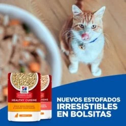 Hill's Science Plan Hill's Adult Healthy Cuisine Con Pollo Y Salmón Para Gatos -Suministros Para Mascotas cat key visual 9