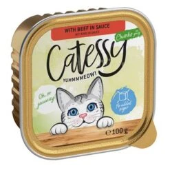 Catessy En Tarrinas 32 X 100 G - Pack Mixto -Suministros Para Mascotas catessy chunks beefinsauce 100g 1000x1000 2