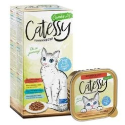 Catessy En Tarrinas 32 X 100 G - Pack Mixto -Suministros Para Mascotas catessy chunks boxtray b c m m 8x100g 1000x1000 1