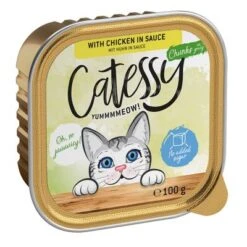 Catessy En Tarrinas 32 X 100 G - Pack Mixto -Suministros Para Mascotas catessy chunks chickeninsouce 100g 1000x1000 9