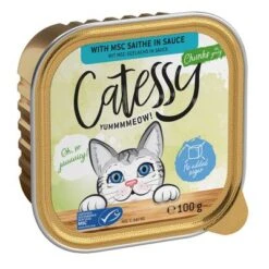 Catessy En Tarrinas 64 X 100 G - Pack Mixto -Suministros Para Mascotas catessy chunks saitheinsauce 100g 1000x1000 8 1