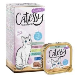 Catessy En Tarrinas 64 X 100 G - Pack Mixto -Suministros Para Mascotas catessy finepate boxtray g p l m 8x100g 1000x1000 7 1