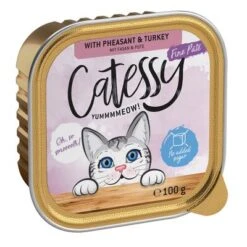 Catessy En Tarrinas 32 X 100 G - Pack Mixto -Suministros Para Mascotas catessy finepate pheasant turkey 100g 1000x1000 0