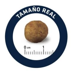 Advance Articular Care Reduced Calorie Veterinary Diets Para Perros 14 Advance Articular Care Reduced Calorie Veterinary Diets Para Perros -Suministros Para Mascotas dog advance vet diets articular care reduced calorie 4