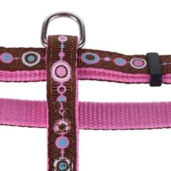 Set Hunter: Arnés + Correa Para Cachorros Y Gatos -Suministros Para Mascotas geschirre 115 8