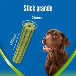 PURINA Dentalife Active Fresh Snacks Dentales Para Perros Grandes -Suministros Para Mascotas l 1 6