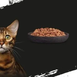 Crave 16 X 85 G En Bolsitas Para Gatos - Pack Mixto -Suministros Para Mascotas new project 2022 09 08t105029 198 8
