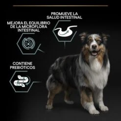 PURINA PRO PLAN Medium Adult Sensitive Digestion Cordero Y Arroz -Suministros Para Mascotas pu benefit tile m2 sensitive digestion 1 2500x2500px 221229 1 2