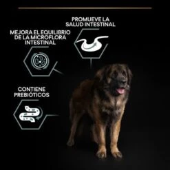 Purina Pro Plan Large Robust Adult Sensitive Digestion Cordero Y Arroz 15 Purina Pro Plan Large Robust Adult Sensitive Digestion Cordero Y Arroz -Suministros Para Mascotas pu benefit tile m2 sensitive digestion 3 2500x2500px 221229 1 8