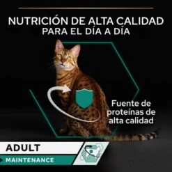 PURINA PRO PLAN Cat Adult Maintenance 24 X 85 G En Latas -Suministros Para Mascotas puprpnwcadvmanocach23fnb1cles 4