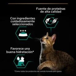 PURINA PRO PLAN Cat Adult Maintenance 24 X 85 G En Latas -Suministros Para Mascotas puprpnwcadvmanocach23fnb2cles 9