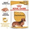 Royal Canin Breed Teckel Mousse -Suministros Para Mascotas rc bhn wet dachshund mv eretailkit es es 1 2