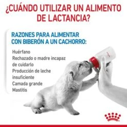 Royal Canin Babydog Milk -Suministros Para Mascotas rc chn babydogmilk 2kg cv 2 es es pdf 6