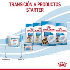 Royal Canin Babydog Milk -Suministros Para Mascotas rc chn babydogmilk 2kg cv 8 es es pdf 7