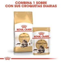 Royal Canin Breed Maine Coon -Suministros Para Mascotas rc fbn wet mainecoon cv eretailkit 4 es es 1
