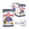 Royal Canin Appetite Control Care En Gelatina -Suministros Para Mascotas rc fcn appetitecontrolpouchjelly 4 es es 9