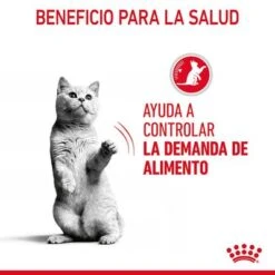 Royal Canin Appetite Control Care En Gelatina -Suministros Para Mascotas rc fcn appetitecontrolpouchjelly 6 es es 5