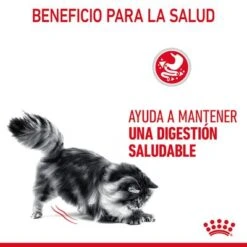 Royal Canin Digest Care En Salsa -Suministros Para Mascotas rc fcn digestivecarepouchgravy 6 es es 2