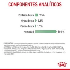 Royal Canin Digest Care En Salsa -Suministros Para Mascotas rc fcn digestivecarepouchgravy 9 es es 1