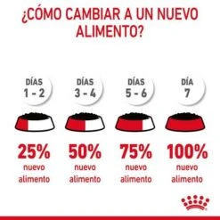 Royal Canin Hair & Skin Care En Salsa -Suministros Para Mascotas rc fcn hairskinpouchgravy 12 es es 7