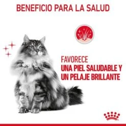 Royal Canin Hair & Skin Care En Salsa -Suministros Para Mascotas rc fcn hairskinpouchgravy 6 es es 4