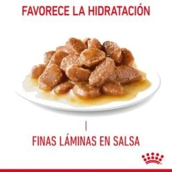 Royal Canin Hair & Skin Care En Salsa -Suministros Para Mascotas rc fcn hairskinpouchgravy 7 es es 7