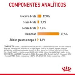 Royal Canin Hair & Skin Care En Salsa -Suministros Para Mascotas rc fcn hairskinpouchgravy 9 es es 1