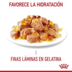 Royal Canin Light Weight Care En Gelatina -Suministros Para Mascotas rc fcn lightweightpouchjelly 7 es es 6