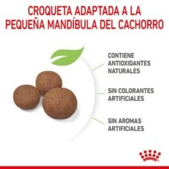 Royal Canin Medium Puppy -Suministros Para Mascotas rc spt dry mediumpuppy cv 4 es es 0