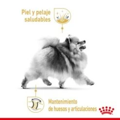 Royal Canin Breed Pomerania Adult -Suministros Para Mascotas rc spt dry pomad cv 1 es es 1