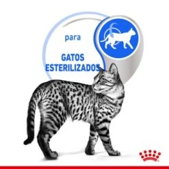 Royal Canin Indoor Sterilised En Gelatina -Suministros Para Mascotas rc spt wet indsterjelly cv 2 es es 9