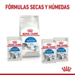 Royal Canin Indoor Sterilised En Gelatina -Suministros Para Mascotas rc spt wet indsterjelly cv 4 es es 8