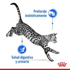 Royal Canin Indoor Sterilised Paté -Suministros Para Mascotas rc spt wet indsterloaf cv 1 es es 0