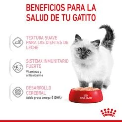 Royal Canin Kitten Paté -Suministros Para Mascotas rc spt wet kitten loaf cv 3 es es 3