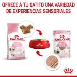 Royal Canin Kitten Paté -Suministros Para Mascotas rc spt wet kitten loaf cv 4 es es 8