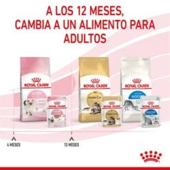 Royal Canin Kitten Paté -Suministros Para Mascotas rc spt wet kitten loaf cv 8 es es 4