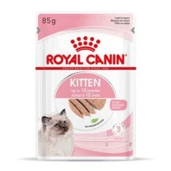 Royal Canin Kitten Paté -Suministros Para Mascotas rc spt wet kitten loaf mv 3 es es 9