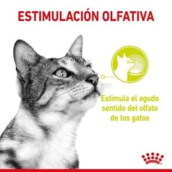 Royal Canin Sensory Smell En Salsa -Suministros Para Mascotas rc spt wet senssmellcig cv 1 es es 6