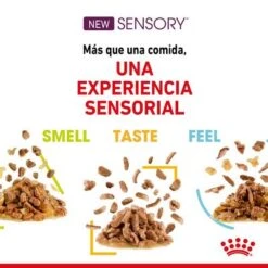 Royal Canin Sensory Smell En Salsa -Suministros Para Mascotas rc spt wet senssmellcig cv 2 es es 4