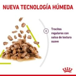 Royal Canin Sensory Smell En Salsa -Suministros Para Mascotas rc spt wet senssmellcig cv 3 es es 0