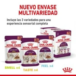 Royal Canin Sensory Smell En Salsa -Suministros Para Mascotas rc spt wet senssmellcig cv 4 es es 3