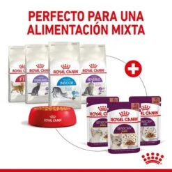 Royal Canin Sensory Smell En Salsa -Suministros Para Mascotas rc spt wet senssmellcig cv 5 es es 1