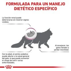 Royal Canin Veterinary Feline Early Renal -Suministros Para Mascotas rc vet dry catearlyrenal cv eretailkit 2 es es 1